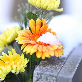 This Week in Wisdom - May 12, 2014