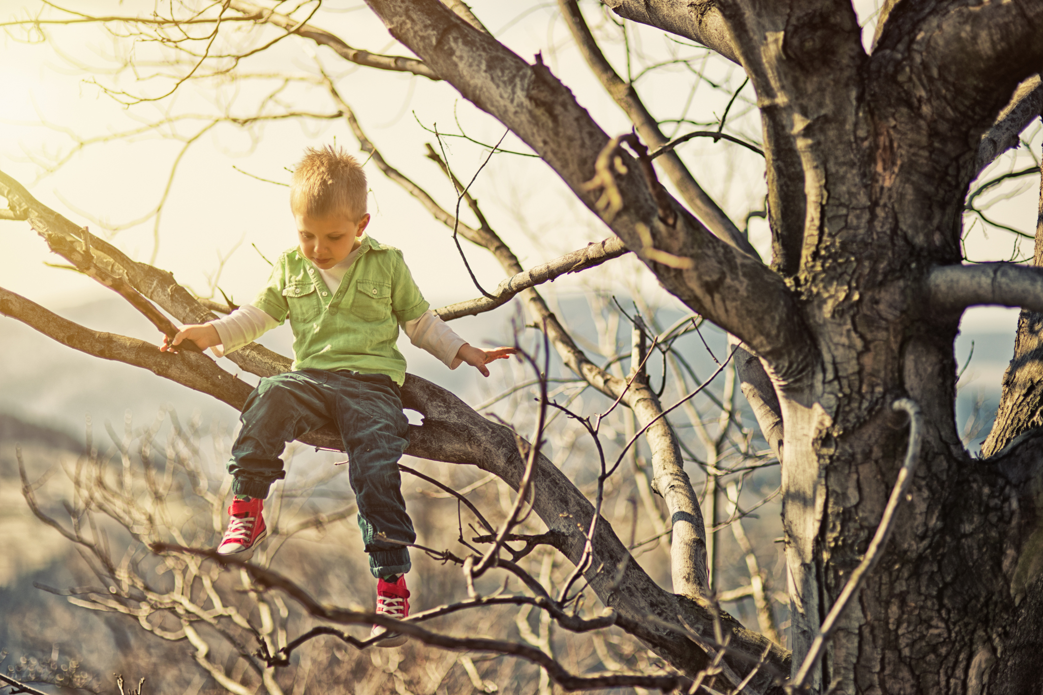 The Reason Kids Climb Trees – The Wisdom Daily